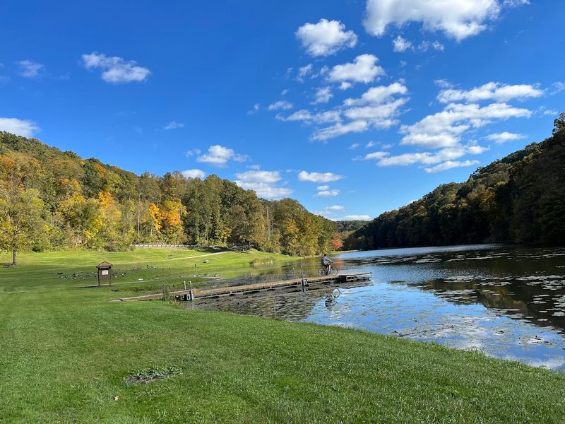 Fishing for Bluegill and Beyond on a Quiet Afternoon