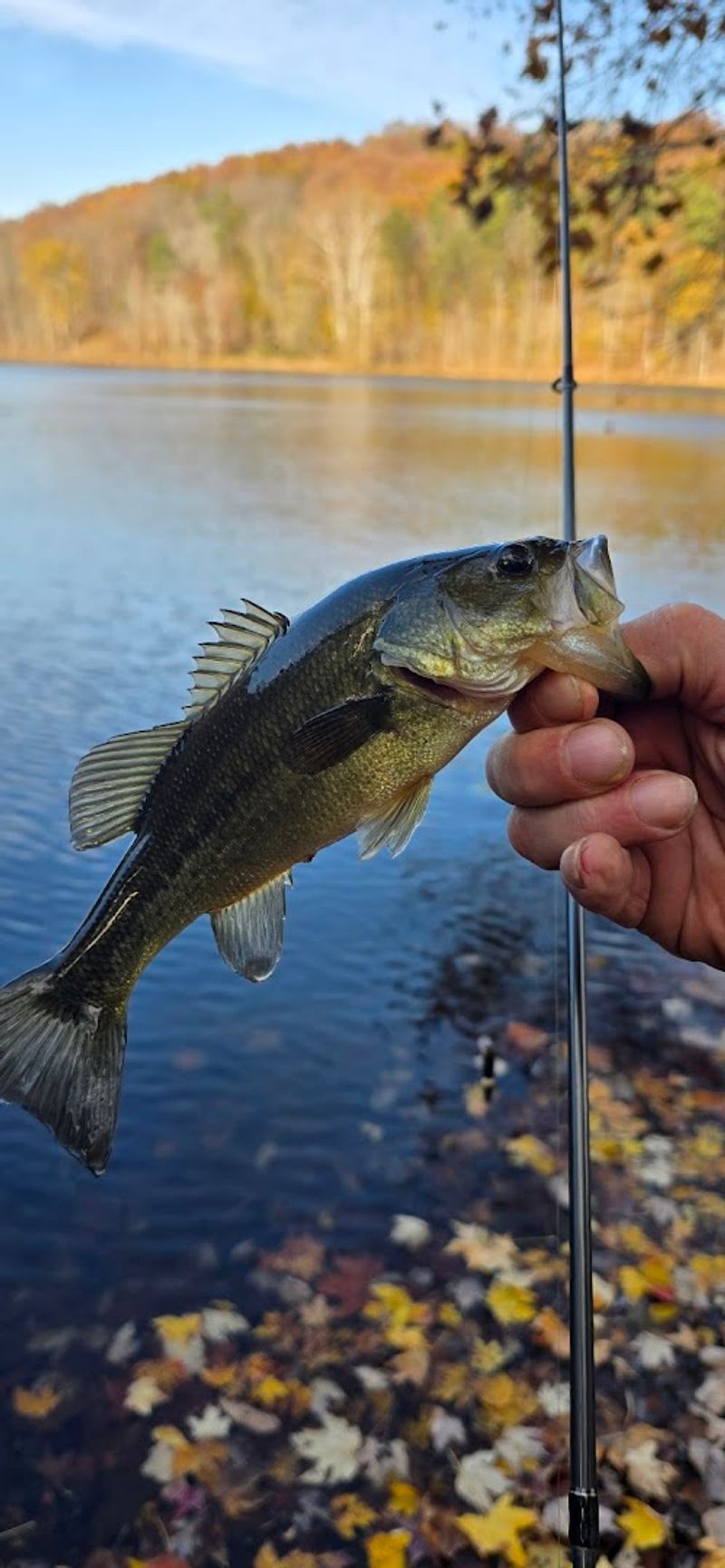 Fishing on Lake Hope: Bass, Peaceful Mornings, and Plenty of Patience Fishing on Lake Hope: Bass, Peaceful Mornings, and Plenty of Patience