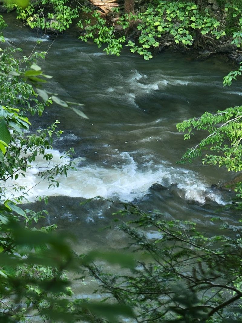 Fishing on the Falling Water River Fishing on the Falling Water River