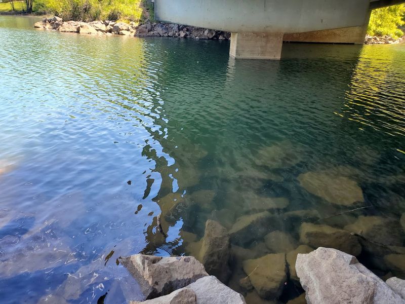 Fishing on the Hiwassee River: No Crowds, Just Trout