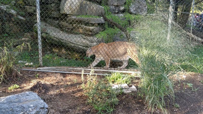 Five Distinct Regional Habitats to Explore