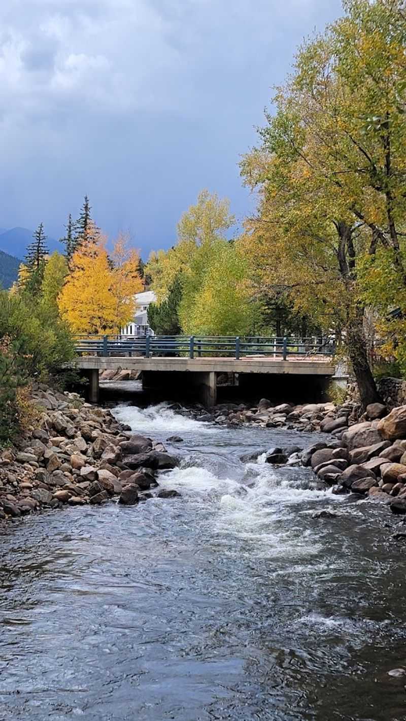 Fly Fishing On Crystal-Clear Mountain Streams Fly Fishing On Crystal-Clear Mountain Streams