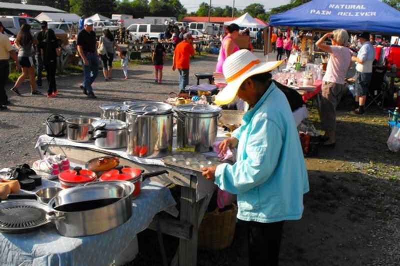 Food Options That Make the Trip Even Better
