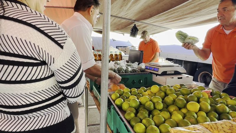 Food Options to Fuel Your Shopping Adventure