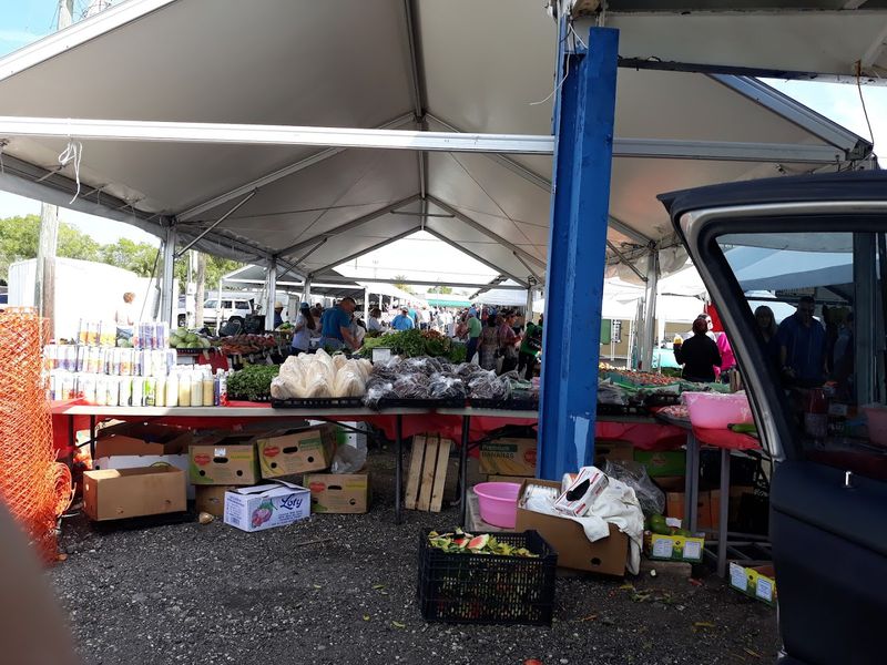 Food Vendors and Snacks That Keep Your Energy Up All Morning Long