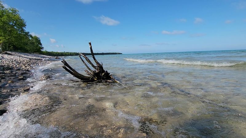 Fossil Hunting Along the Bedrock Shoreline