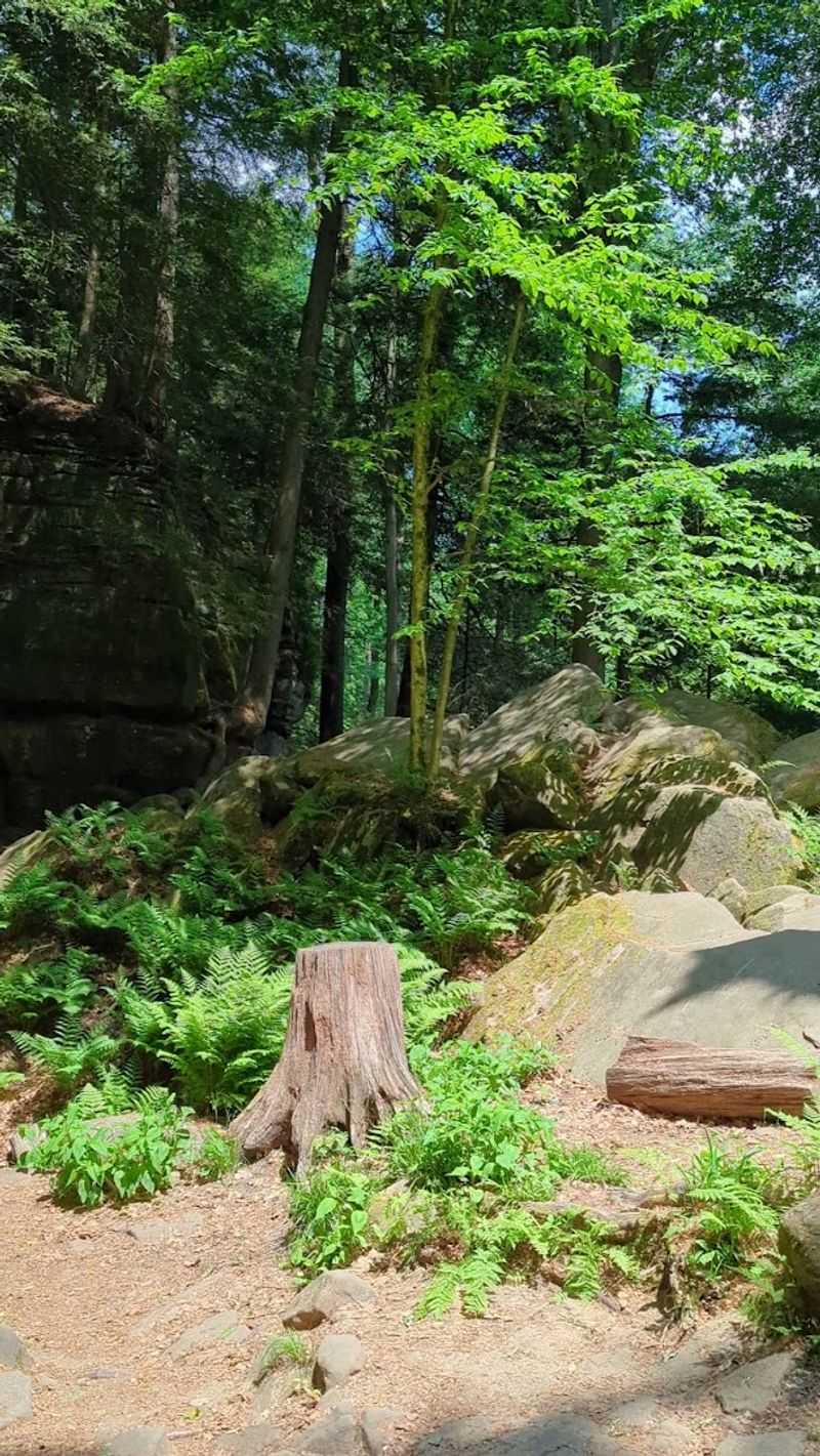 Free National Park Access and Parking