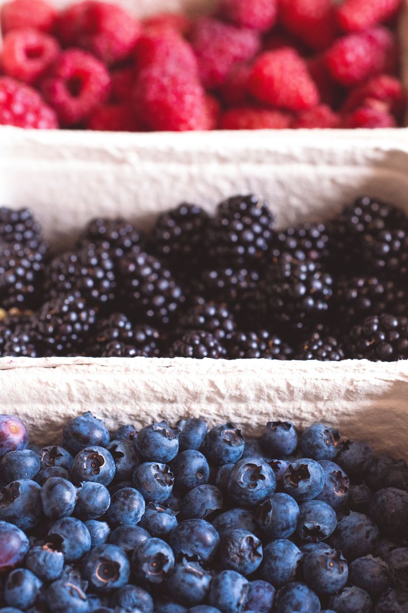 Fresh Berries Fresh Berries