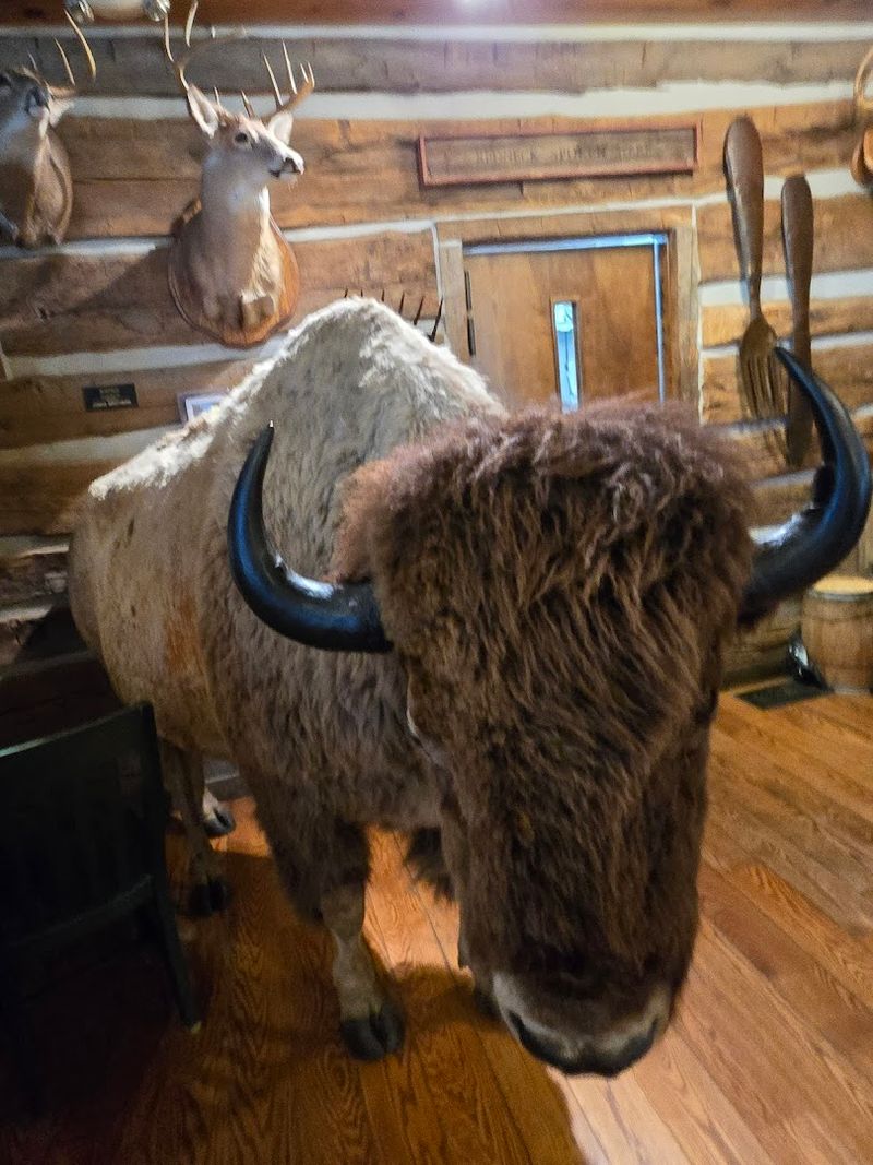 Fresh Buffalo Raised Right Down the Road Fresh Buffalo Raised Right Down the Road