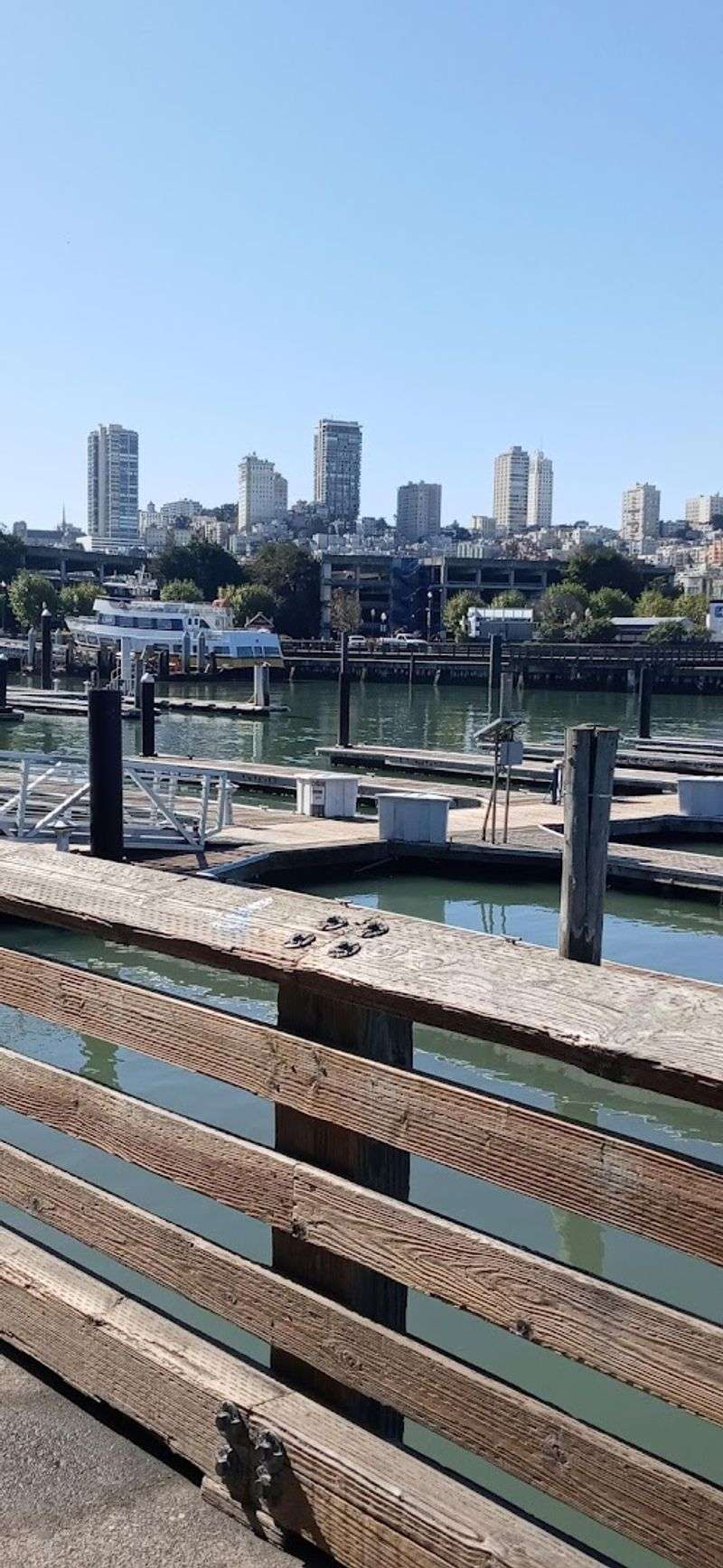 Fresh Dungeness Crab: Sausalito's Star Attraction