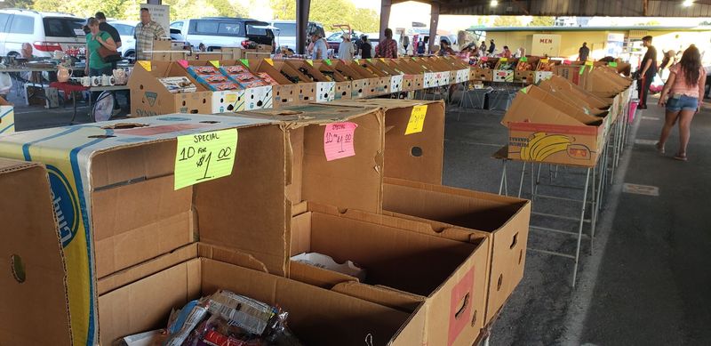 Fresh Fruits and Vegetables That Beat Most Grocery Store Prices