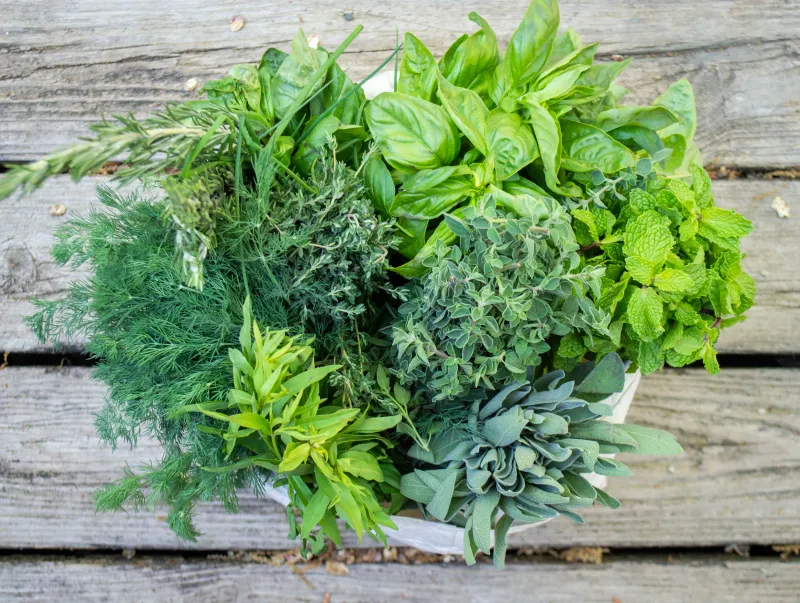Fresh Herbs
