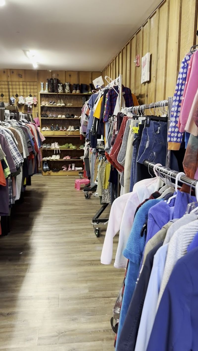 Fresh Inventory Arrives Every Single Day