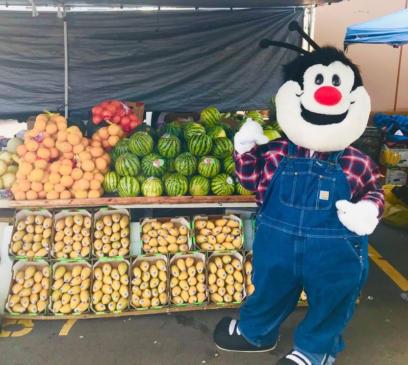 Fresh Produce That Rivals Any Farmers Market
