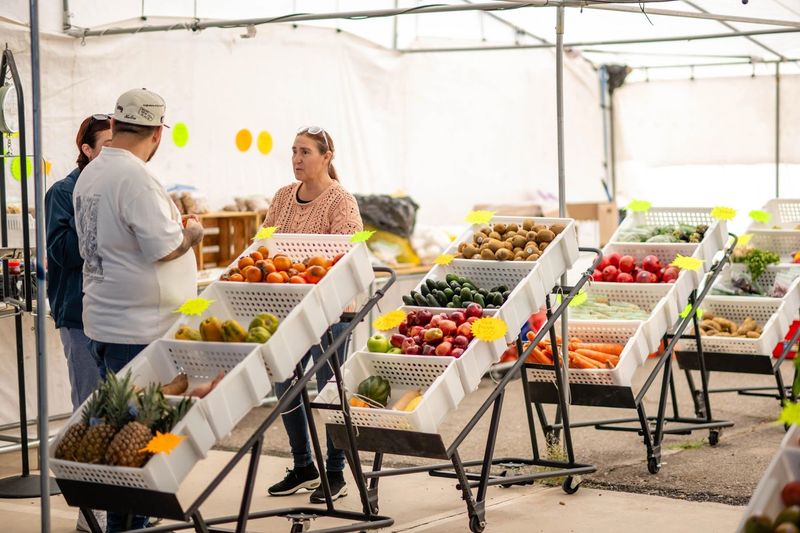 Fresh Produce and Everyday Grocery Finds