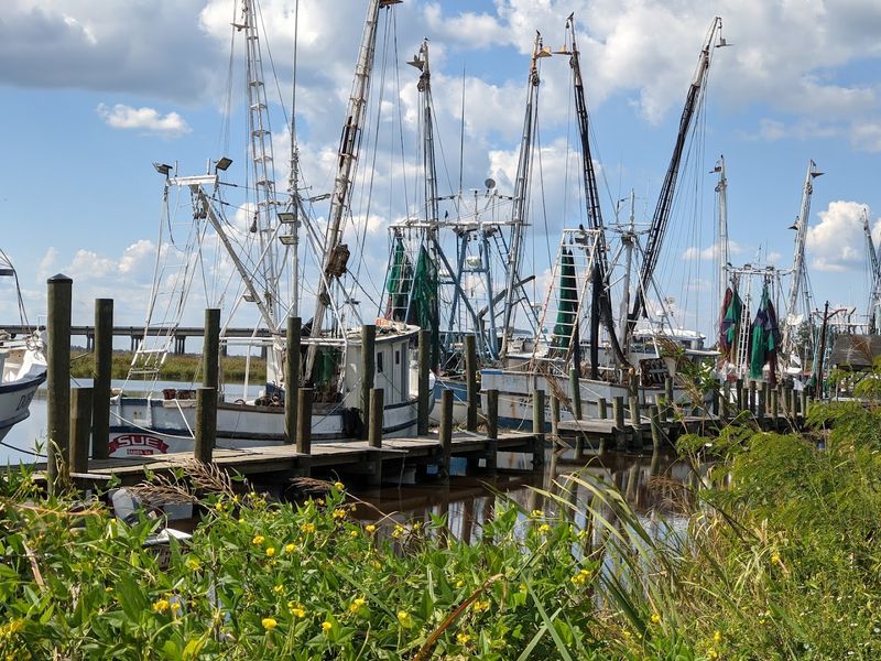 Fresh Seafood That Spoils You for Life