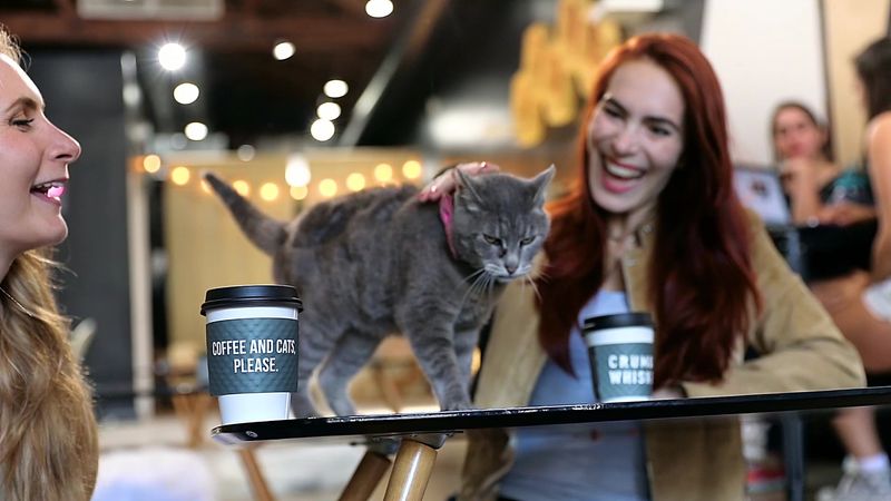 Friendly and Knowledgeable Staff Who Truly Love What They Do