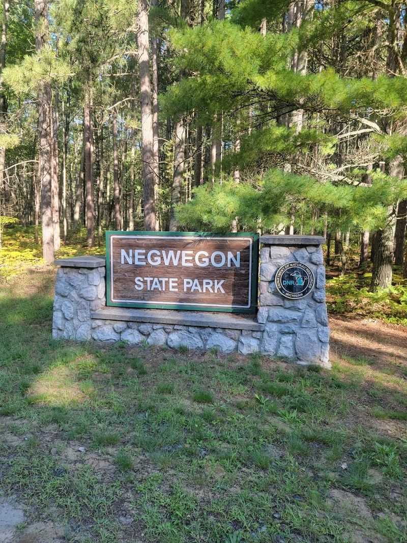 Friends of Negwegon State Park: The People Who Keep It Wild