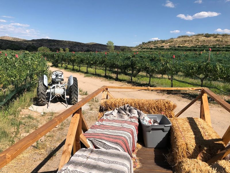 Fun Hayride Adventures Through the Vineyard