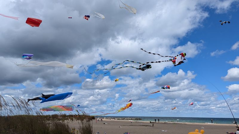 Fun Summer Events That Keep Things Exciting Fun Summer Events That Keep Things Exciting