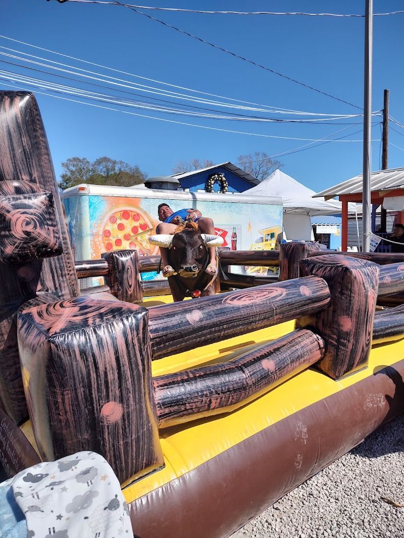 Fun for Kids Including Horse Rides and a Mechanical Bull