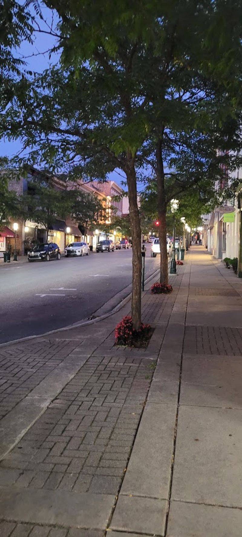 Gaslight District: Shopping, Dining, and Pure Charm