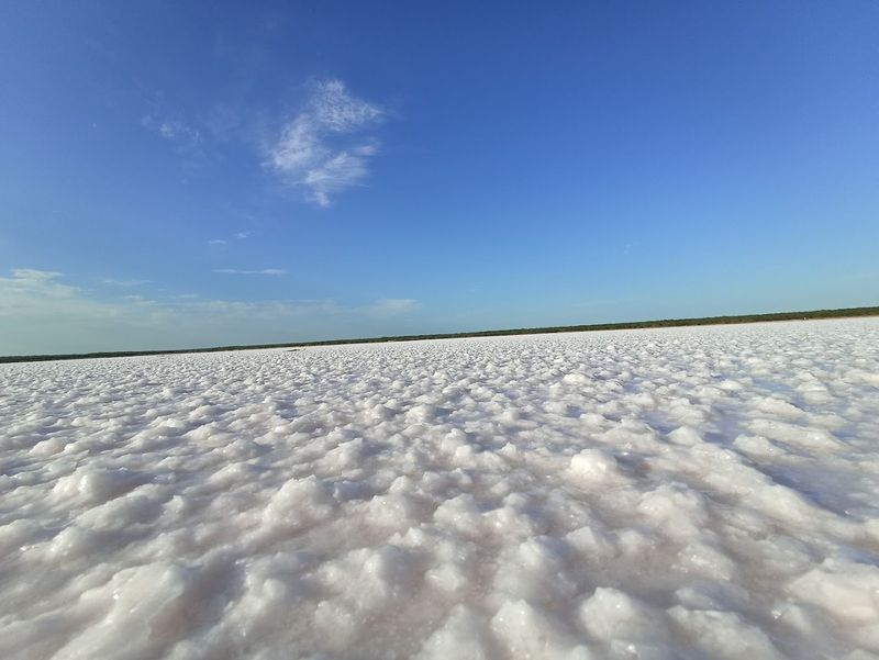 Gathering Your Own Salt From the Lake