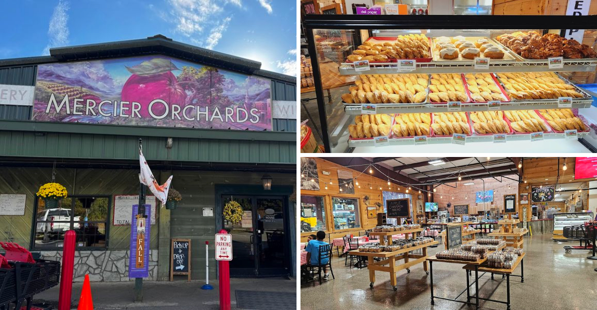 Georgia Locals Cant Get Enough Of The Mouth Watering Fried Pies Served At This Charming Orchard Cafe