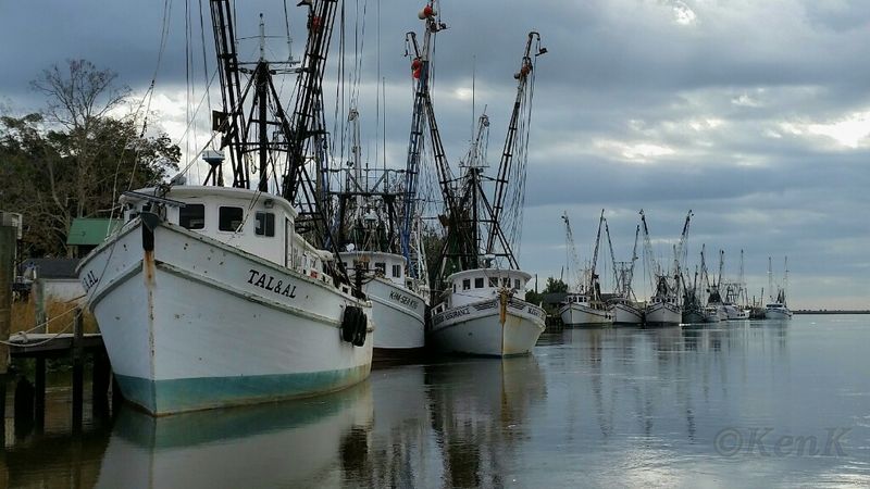 Georgia's Shrimping Heritage: Fresh Off the Boat
