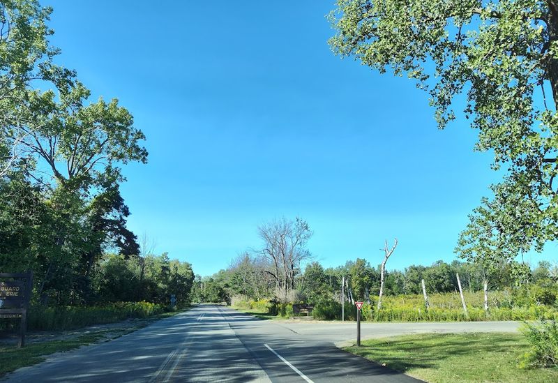 Getting There: A Scenic Drive Worth Every Mile