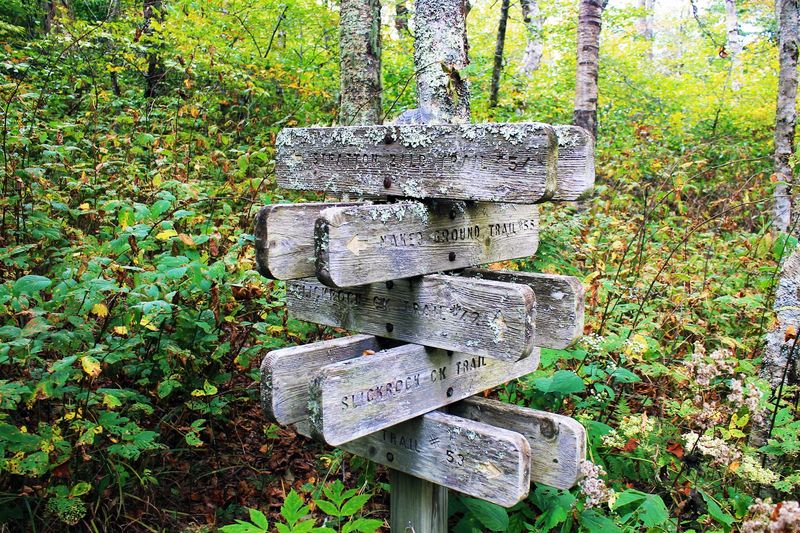 Getting There: Finding a Hidden Gem Near Robbinsville Getting There: Finding a Hidden Gem Near Robbinsville