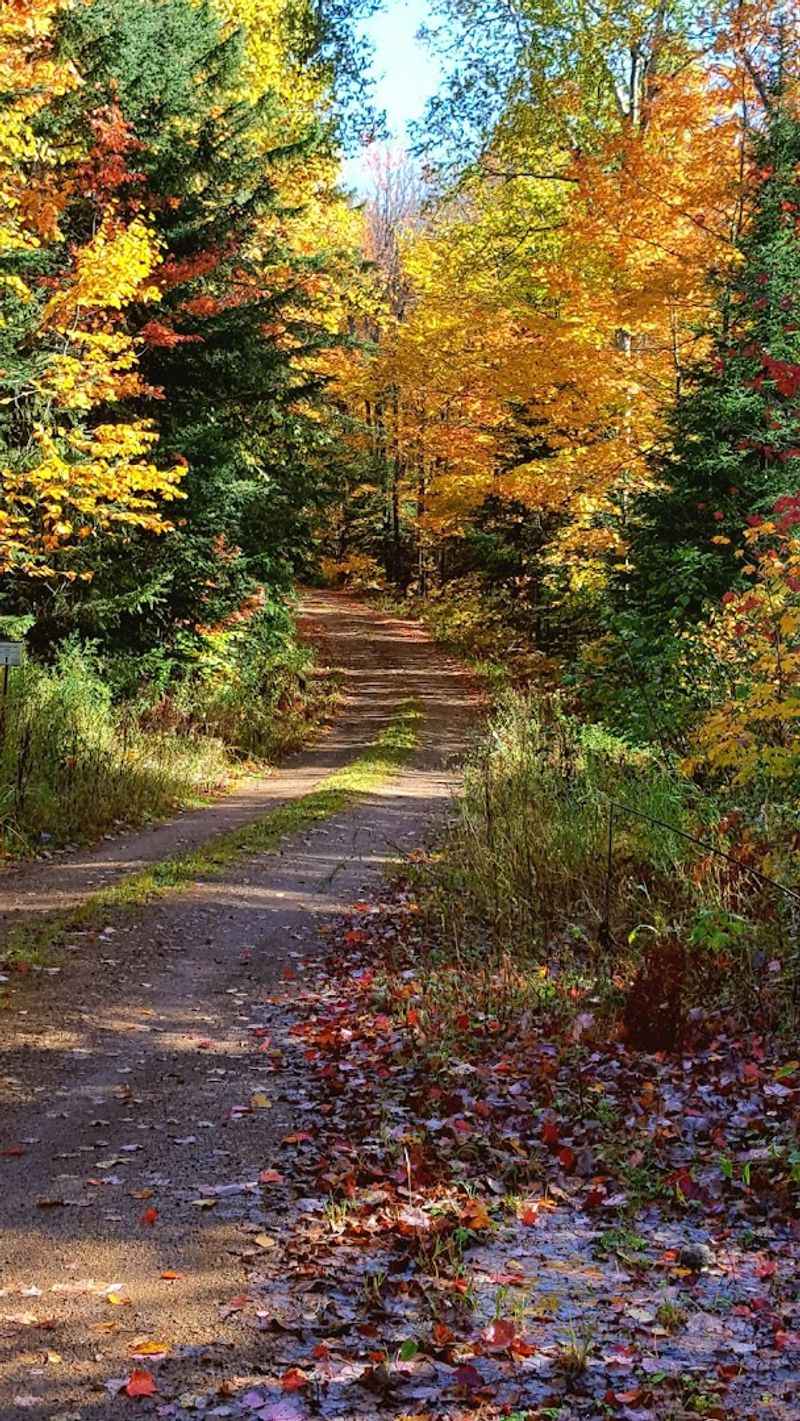 Getting There: Why the Rough Road Is Totally Worth It