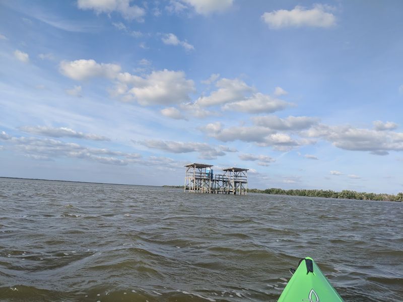 Getting to Shark Point Chickee by Paddle Power Getting to Shark Point Chickee by Paddle Power