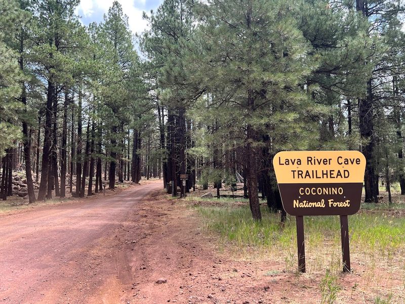 Getting to the Cave: The Road Less Traveled