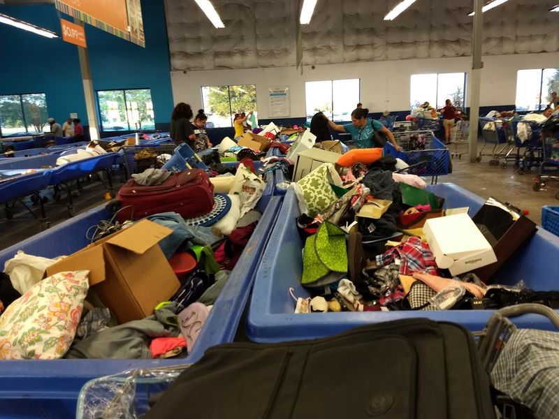 Giant Blue Bins Packed With Surprising Finds