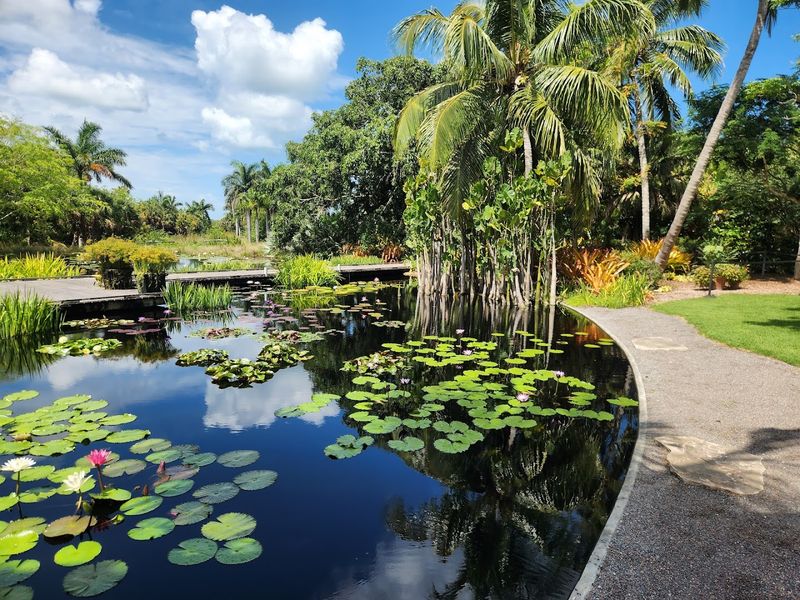 Giant Lily Pads and Water Features That Feel Straight Out of a Dream