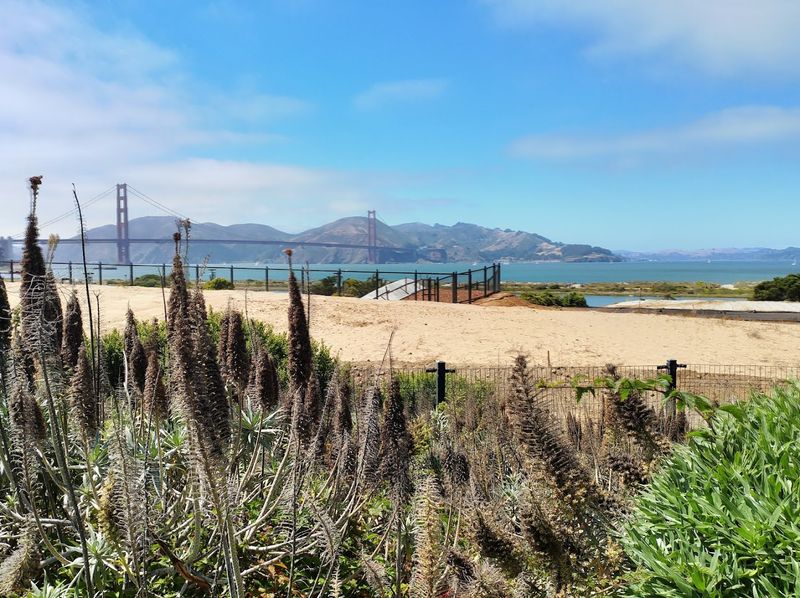 Golden Gate Bridge Views from the Marin Headlands