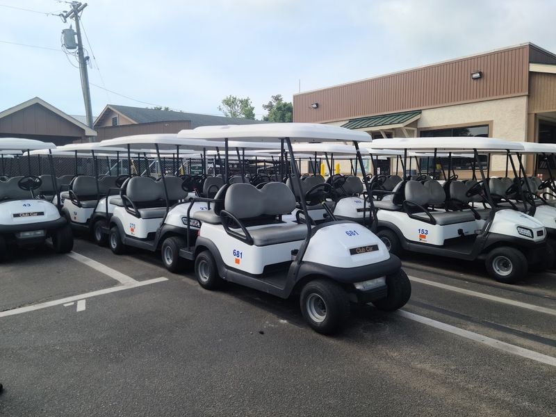 Golf Cart Rentals for Exploring the Grounds