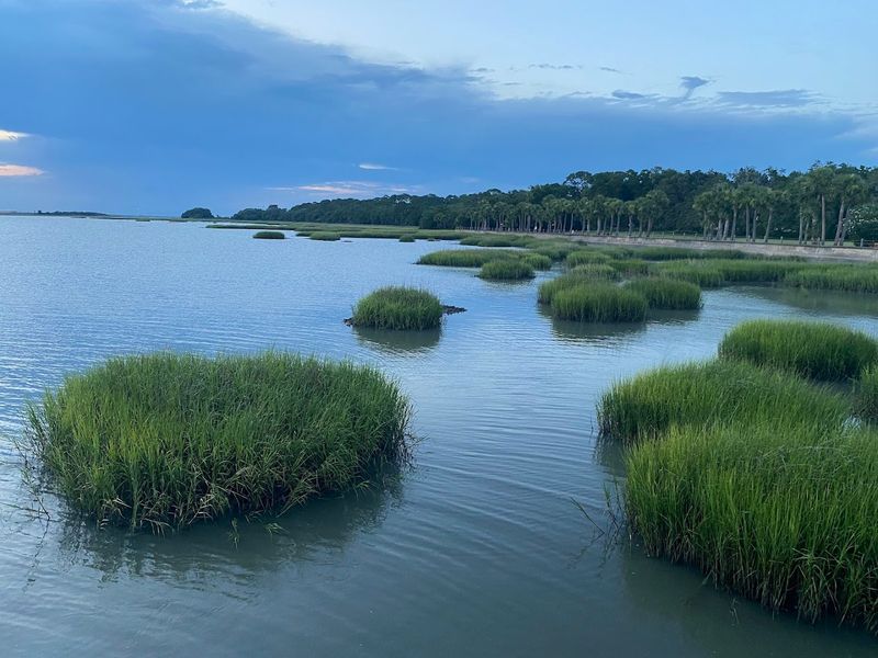 Golf on the Island: Tee Off Surrounded by Coastal Beauty