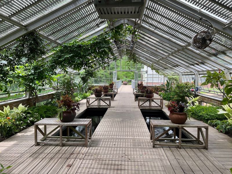 Gorgeous Greenhouses Filled With Vibrant and Exotic Plants