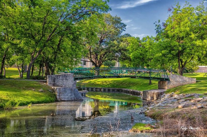 Granbury's Texas Wildflower Season