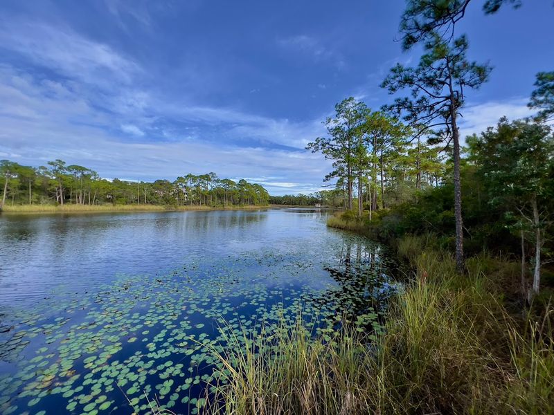 Grayton Beach State Park Next Door