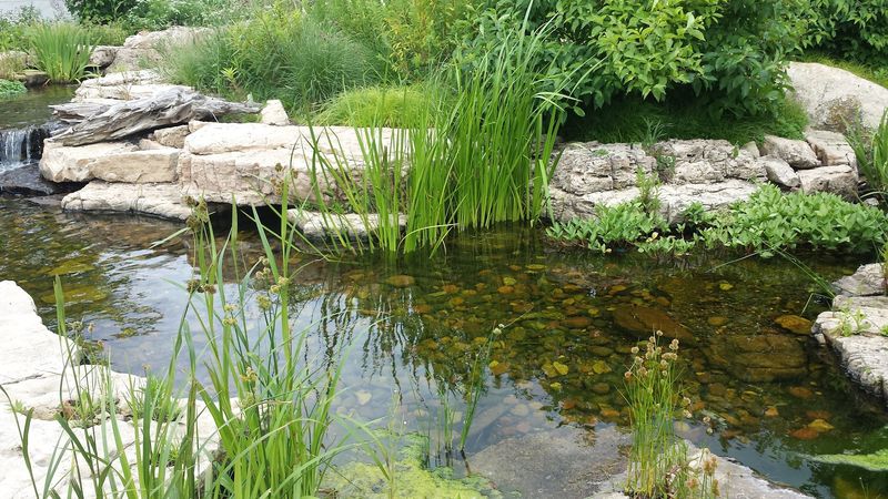 Great Schools And Family-Friendly Neighborhoods For Growing Families