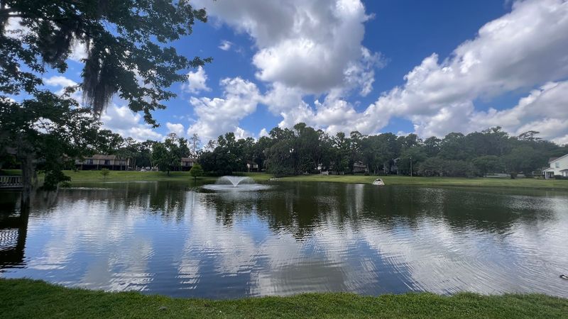 Great Schools and Family-Friendly Amenities Abound