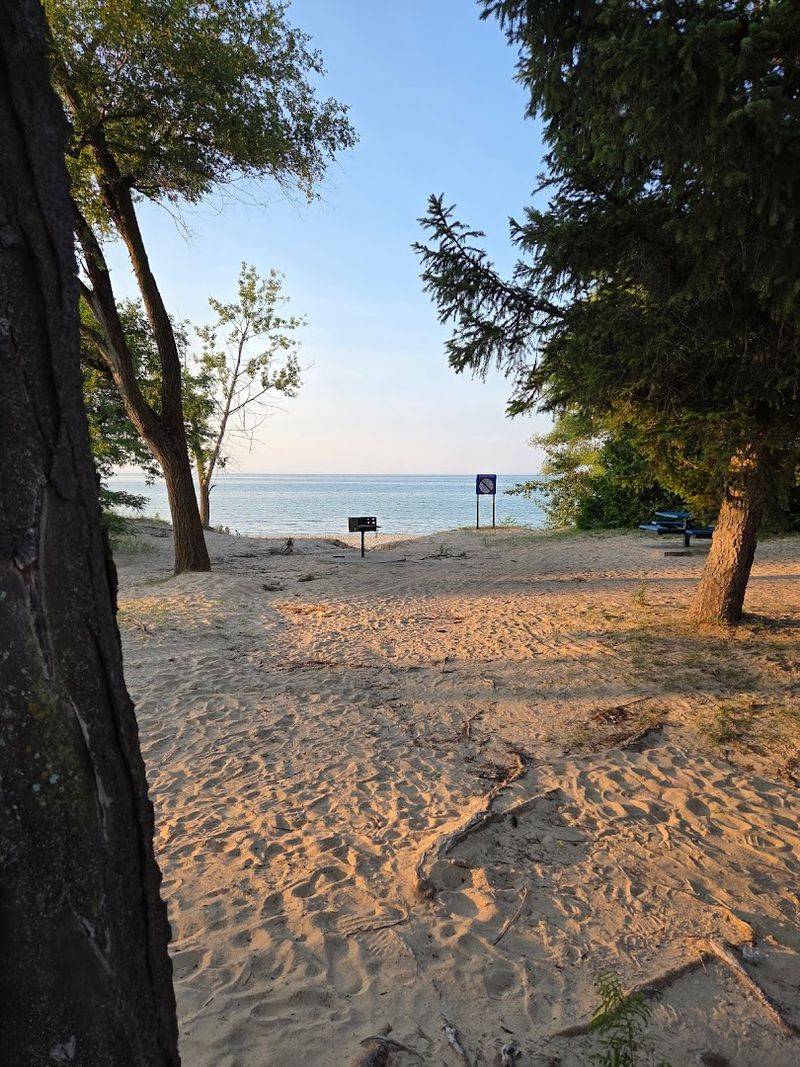 Grills and Picnic Tables for a Full Beach Day Experience Grills and Picnic Tables for a Full Beach Day Experience