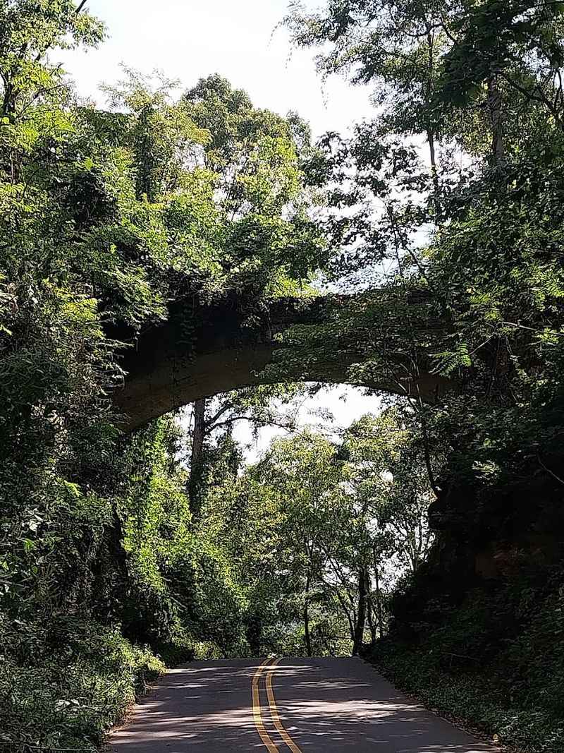 Growing Up in Western NC Means Knowing This Bridge