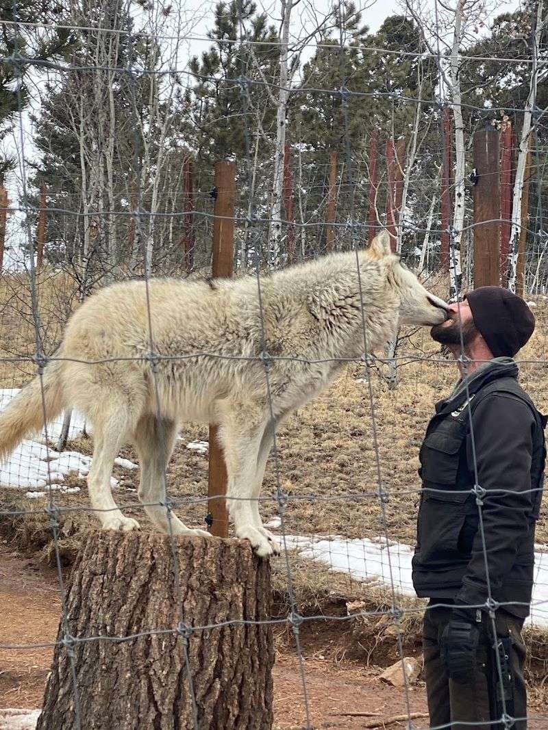 Guided Tours That Bring Conservation to Life