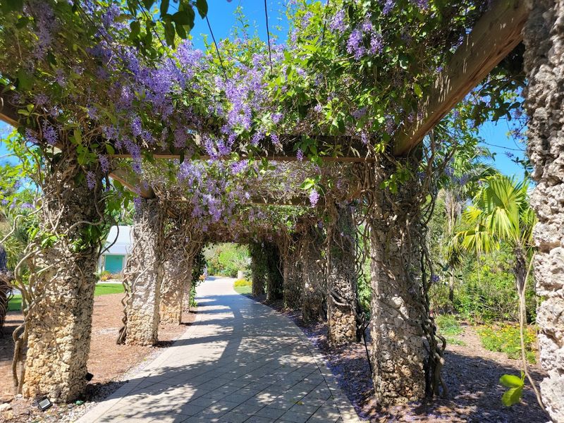 Guided Tours That Bring the Garden's Story to Life