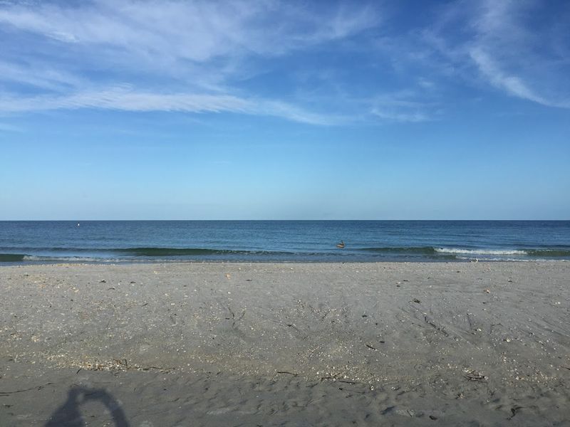 Gulf Water That's Surprisingly Clear and Calm