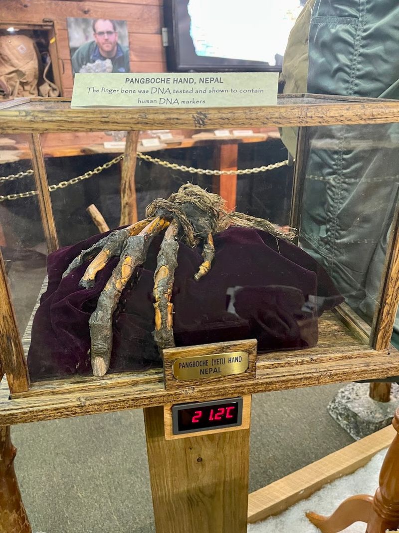 Hair Samples and Physical Evidence Under Glass